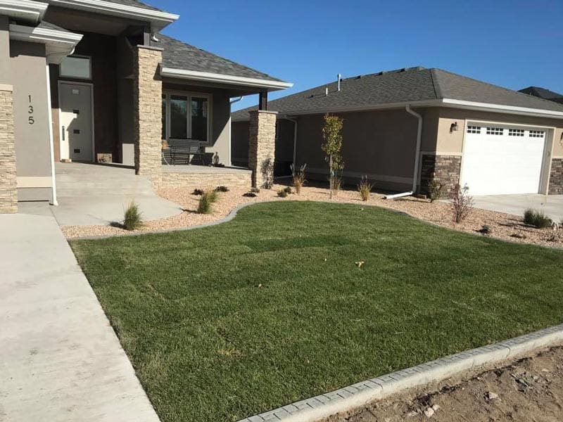 A small section of grass in front of a house next to a pebbled flower bed with some small flowers and thin trees all laid by Total Lawn Care & Landscape in Sterling, CO